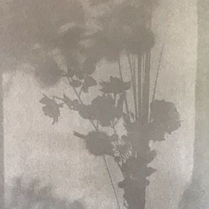 Meet your Posher, Fareeha